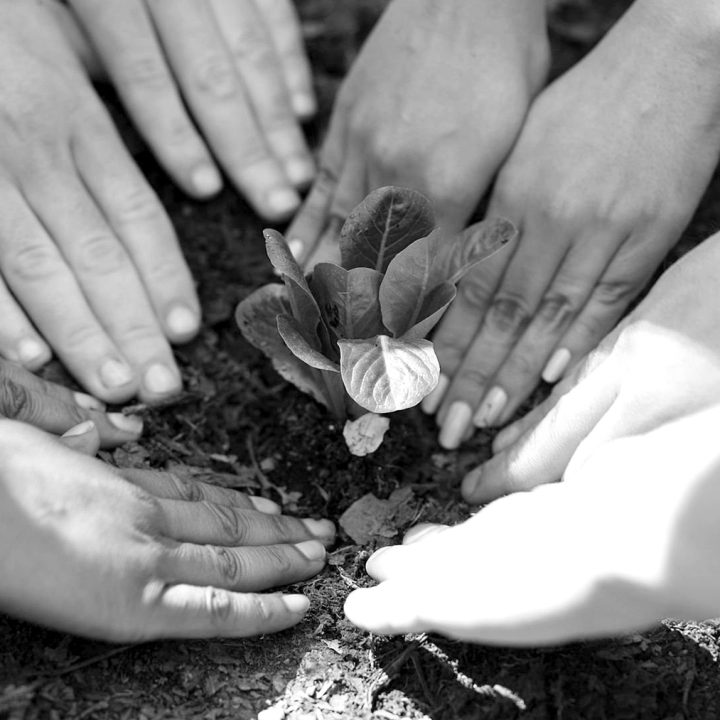 Humanitarian - Creating Capital for Social Change